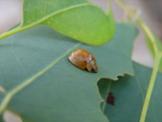 DSC07056_JPG.jpg