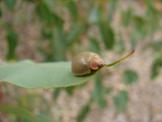 DSC06980_JPG.jpg