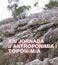 portada2.jpg