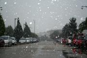img 005.jpg