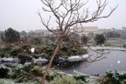 img 026.jpg
