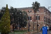 img 017.jpg