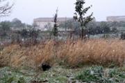 img 015.jpg