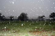 img 014.jpg