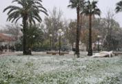img 051.jpg