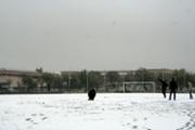 img 076.jpg