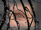 portada3.gif