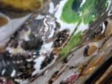 img 049-1.jpg