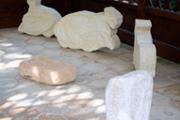 img 020.jpg