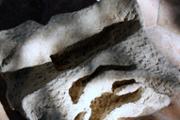 img 026.jpg