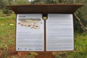 cartells 2.jpg