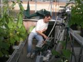 Investigaci al laboratori