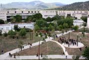 4-img 040.jpg