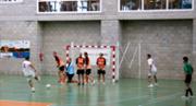 07-06-2013 Fase prvia: Universitat d'Alacant-UIB