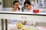 Alumnes de primer de batxillerat -DEMOLAB-. IV Campus Cientificotcnic d'Estiu