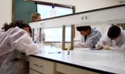 Alumnes de primer de batxillerat -DEMOLAB-. IV Campus Cientificotcnic d'Estiu