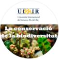 WEB-UIMIR.jpg
