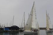 10-_DSC1503.JPG