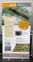 Exposici itinerant 