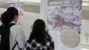 Exposici itinerant 