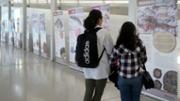 Exposici itinerant 