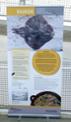 Exposici itinerant 