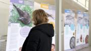 Exposici itinerant 