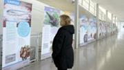 Exposici itinerant 