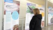 Exposici itinerant 