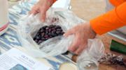 Taller Com puc preparar olives pansides?,a crrec de Biel Torrens, de l'Associaci Mercat Ecolgic