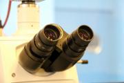 Serveis Cientificotcnics