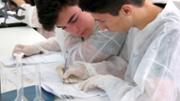 Primer torn. Del 27 de juny a l'1 de juliol de 2016 (alumnes de Mallorca, Menorca, Eivissa i Formentera)