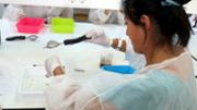 Qumica Fem cuina? fent cincia  Laboratori Demolab. Edifici Mateu Orfila i Rotger