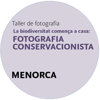 web_taller fotografia menorca.jpg