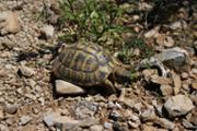 1-IMG_7351.JPG