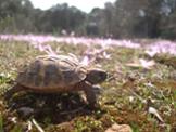 2-DSCN4616.JPG