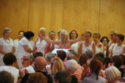 79-IMG_7532.JPG