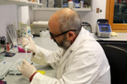 Seqenciaci massiva d'ADN per analitzar la biodiversitat de la badia de Palma i dels seus ambients portuaris - Foto: A.COSTA/UIB