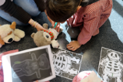 Un hospital per als ossos de peluix de les criatures - Foto: A.COSTA/UIB