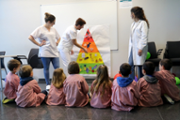 Un hospital per als ossos de peluix de les criatures - Foto: A.COSTA/UIB