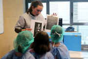 Un hospital per als ossos de peluix de les criatures - Foto: A.COSTA/UIB