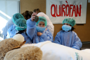 Un hospital per als ossos de peluix de les criatures - Foto: A.COSTA/UIB