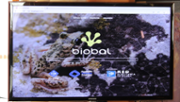 BIOBAL, una enciclopdia virtual al servei de la biodiversitat  - Foto: A.COSTA/UIB