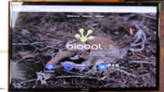 BIOBAL, una enciclopdia virtual al servei de la biodiversitat  - Foto: A.COSTA/UIB