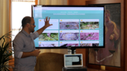 BIOBAL, una enciclopdia virtual al servei de la biodiversitat  - Foto: A.COSTA/UIB