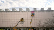 11/04/2019 Mural  d'URIGINAL i Irene Lpez- Foto: A.COSTA/UIB