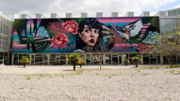30/04/2019 Mural  d'URIGINAL i Irene Lpez- Foto: A.COSTA/UIB