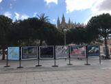 Expos Serra 2