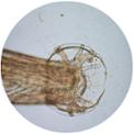 00-CERCLES-320-x-320.jpg