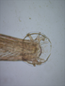 Figure-2.jpg